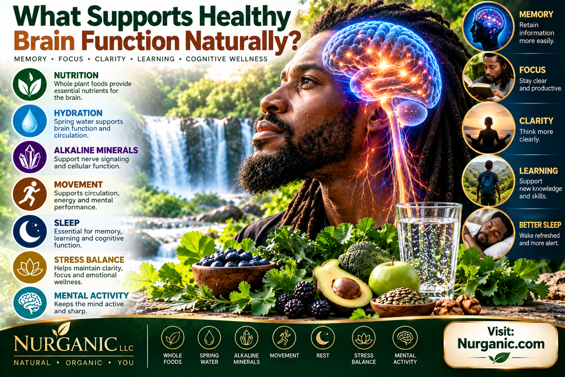 What Supports Healthy Brain Function Naturally?