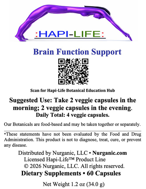 Brain Function Support